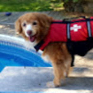 Meet your Posher, Deena